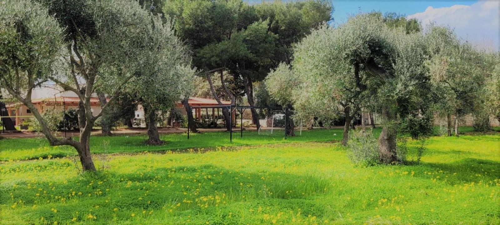 Villa Laura Bari Exteriör bild